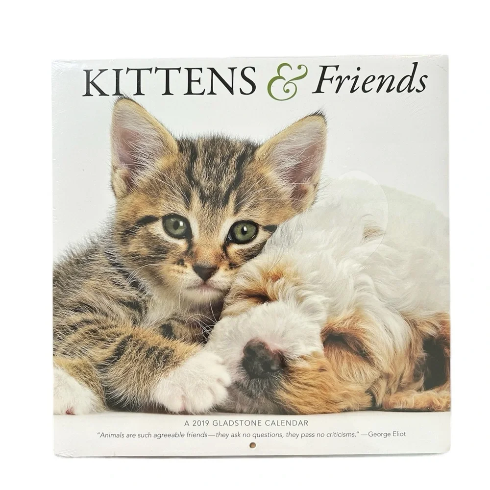 2019 Kittens & Friends Gladstone Media Wall Calendar New